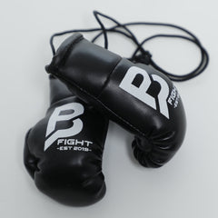 BPFight box car hangger